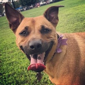 Meet your Posher, Kristina